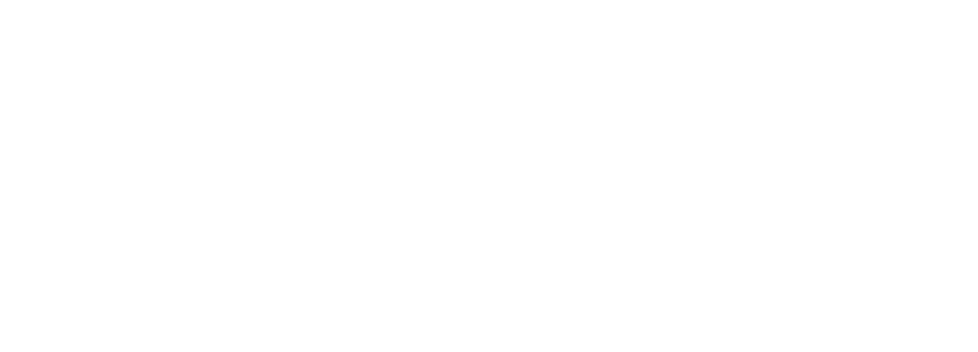 Logo Enel