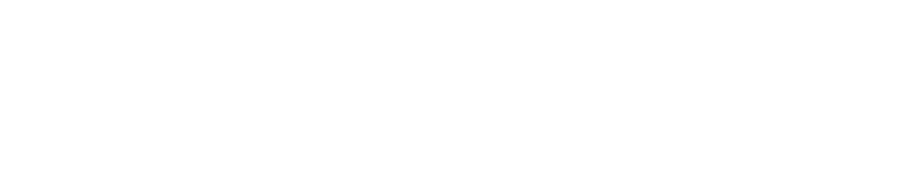 Logo Conelsur